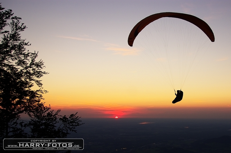 Paraglider am Gaisberg - 10.08.2011 - 02