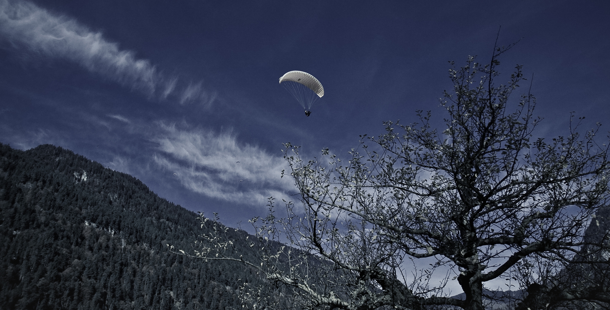 Paraglider am Hardermannli