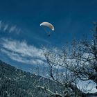 Paraglider am Hardermannli