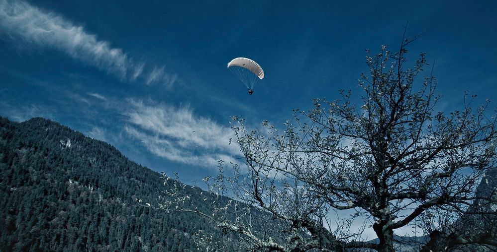 Paraglider am Hardermannli