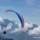 Paraglider am Nebelhorn (Allgäu)