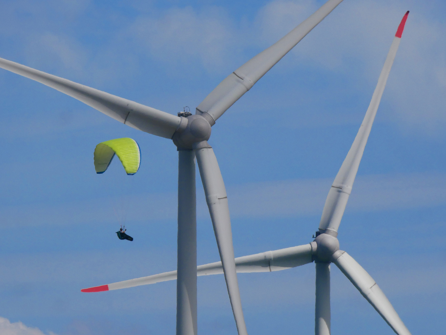 Paraglider am Niederrhein
