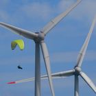 Paraglider am Niederrhein