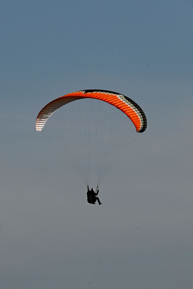 Paraglider an den Bovbjerg-Klippen (Midtjylland, DK)