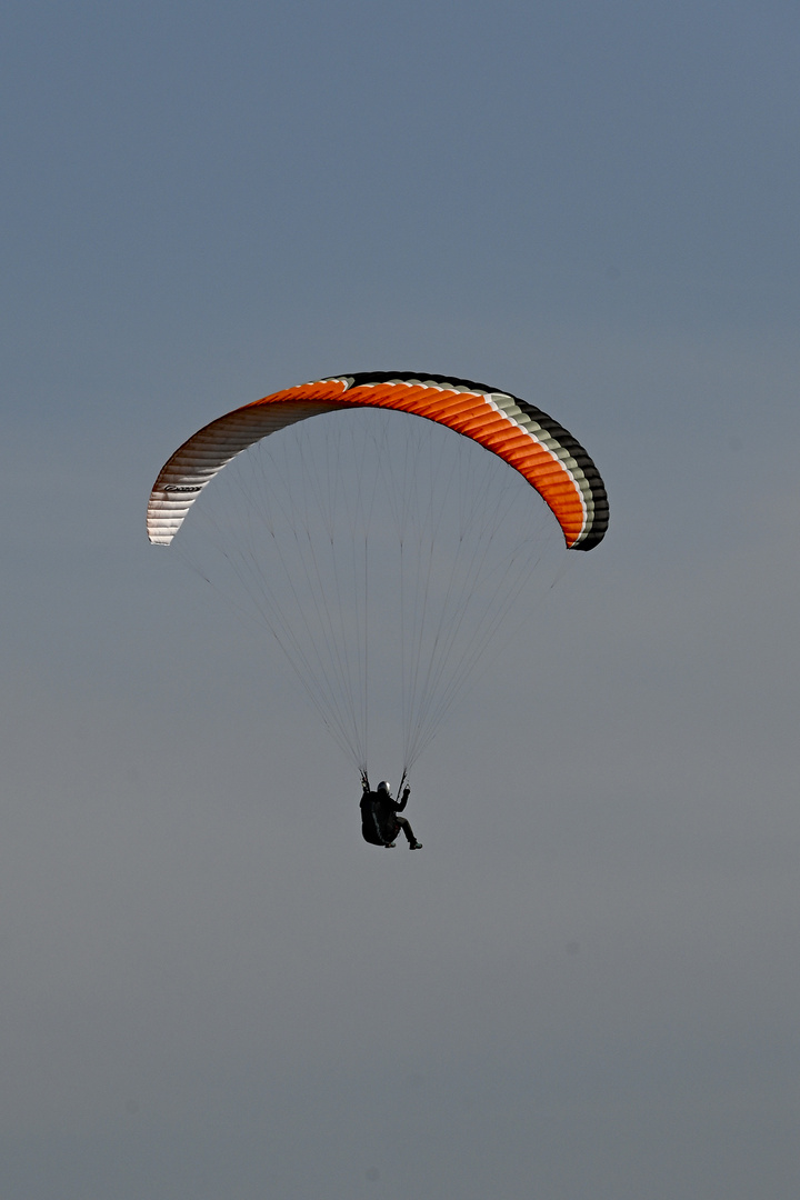 Paraglider an den Bovbjerg-Klippen (Midtjylland, DK)