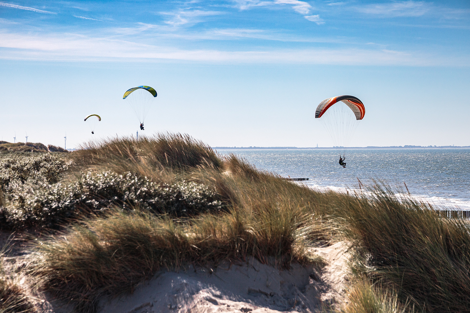 Paraglider an der Küste Zeelands