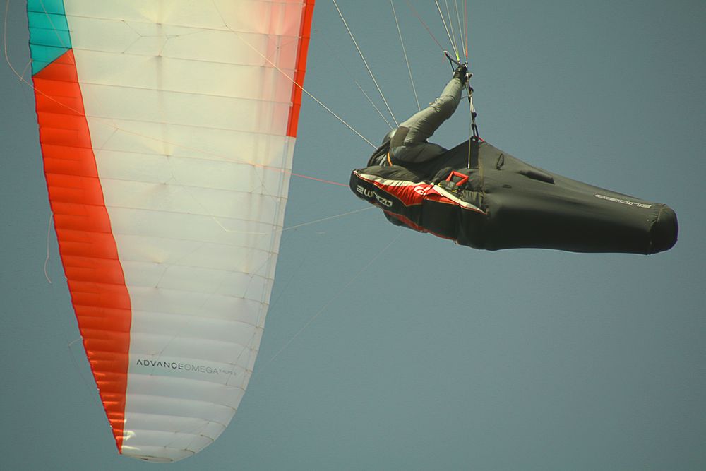 Paraglider