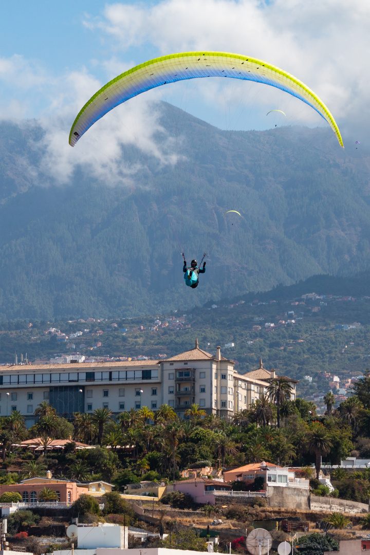 Paraglider