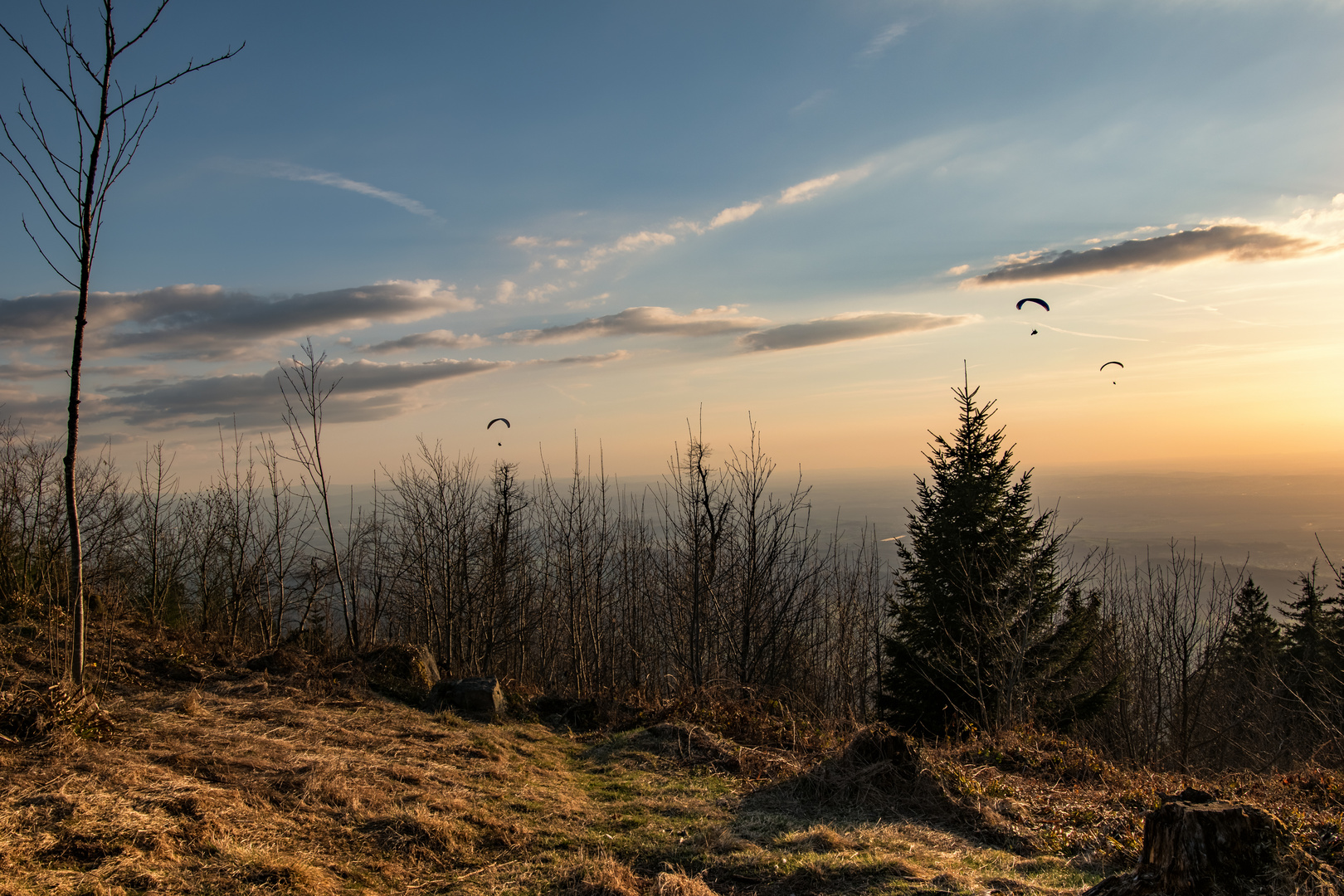 Paraglider