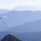 Paraglider