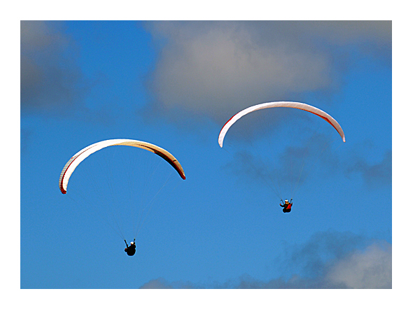 Paraglider