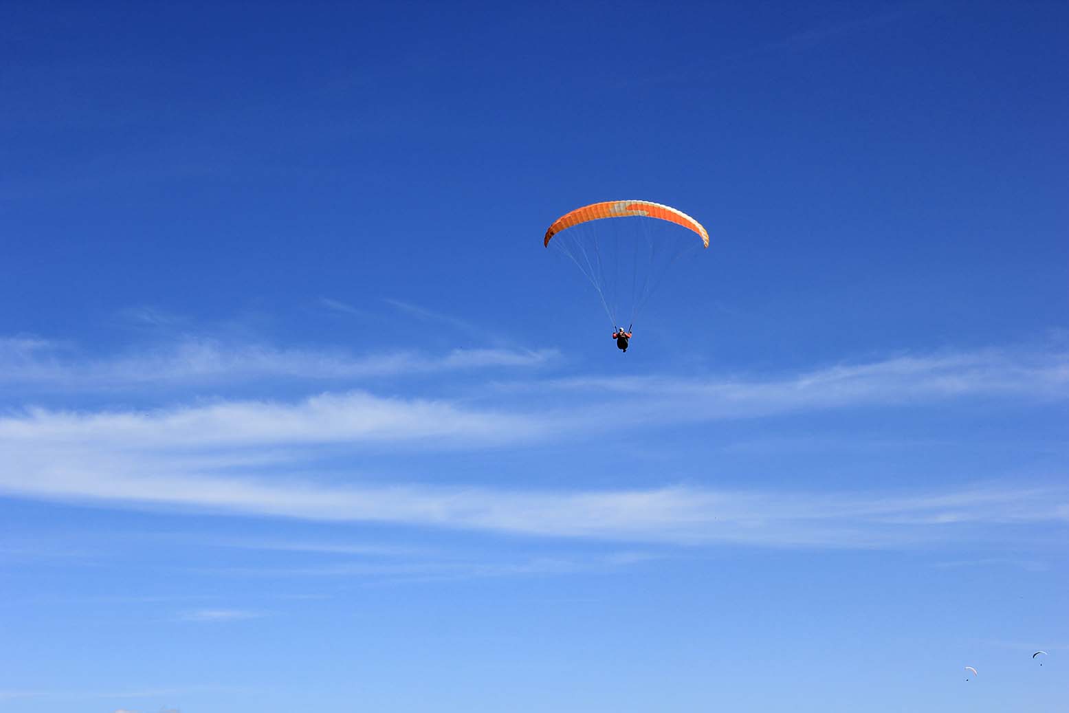 Paraglider