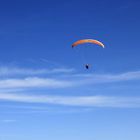 Paraglider