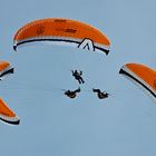 Paraglider Drio