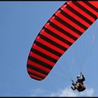 Paraglider