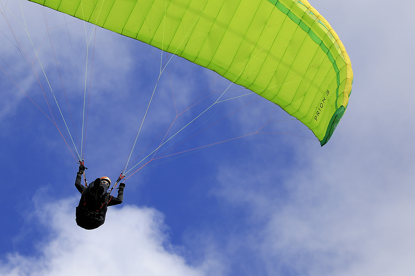 Paraglider