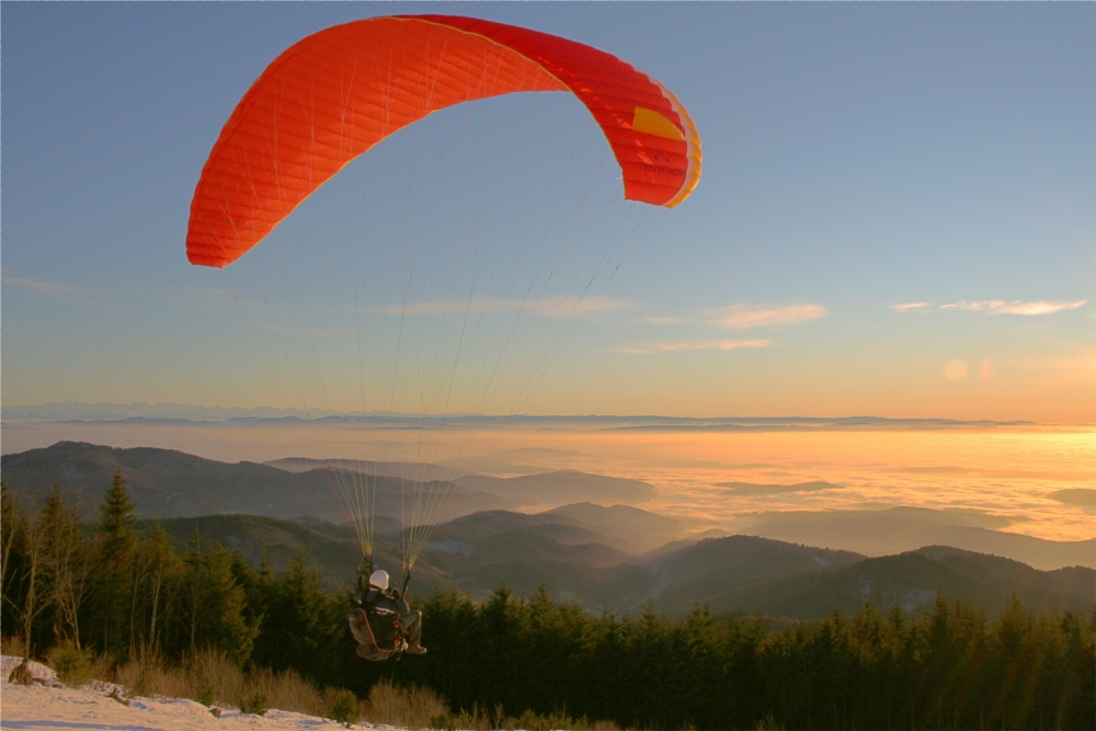 Paraglider