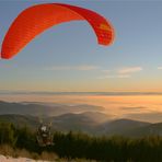 Paraglider