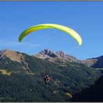 Paraglider