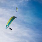 Paraglider