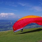 Paraglider im Bregenzer Wald