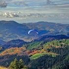 Paraglider im Renchtal