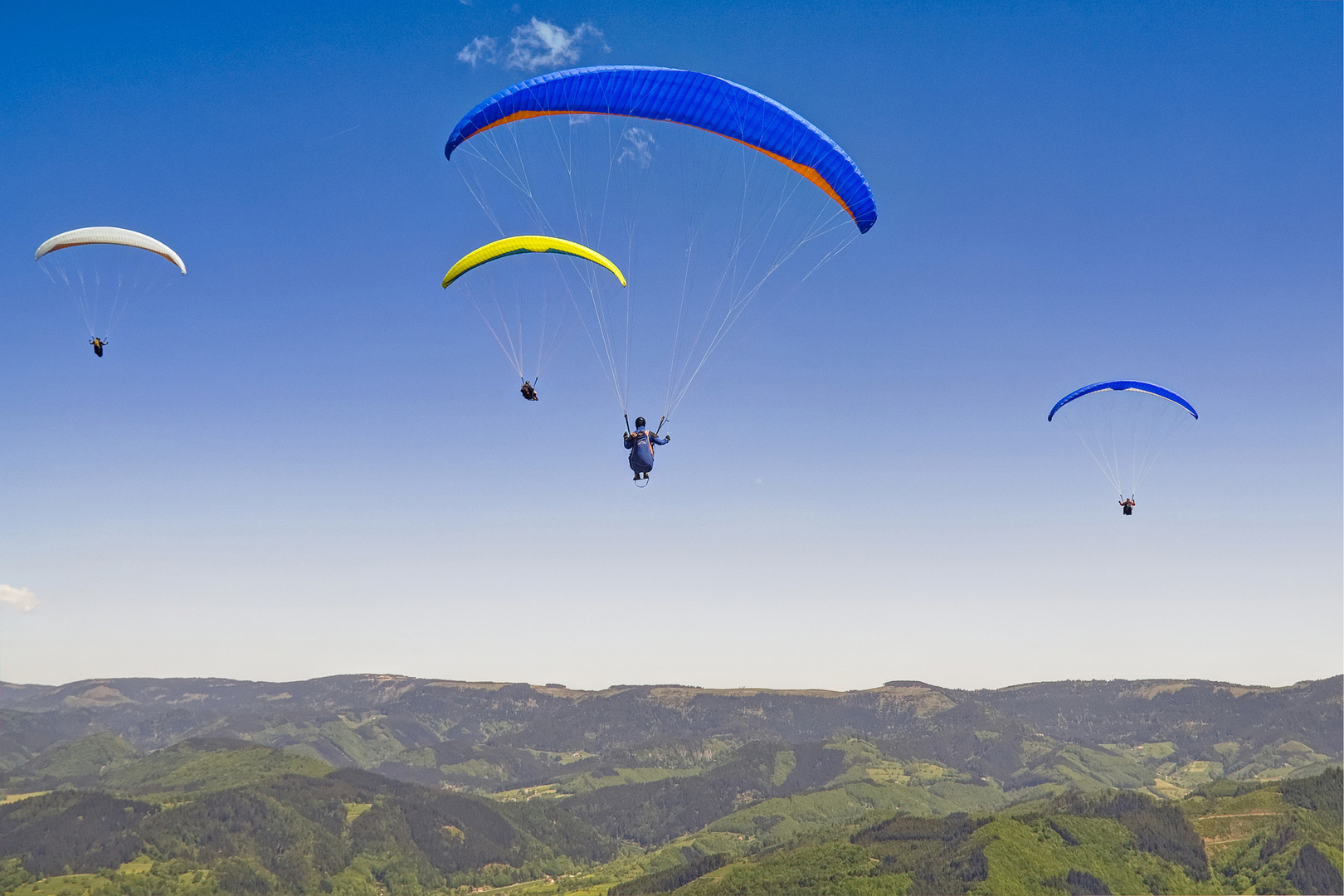 Paraglider im Schwarzwald