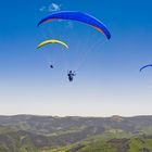 Paraglider im Schwarzwald