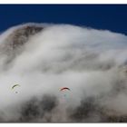 Paraglider Lions Head