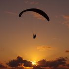 Paraglider über der Dune du Pyla