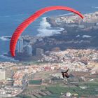 PARAGLIDER ÜBER PUERTO DE LA CRUZ