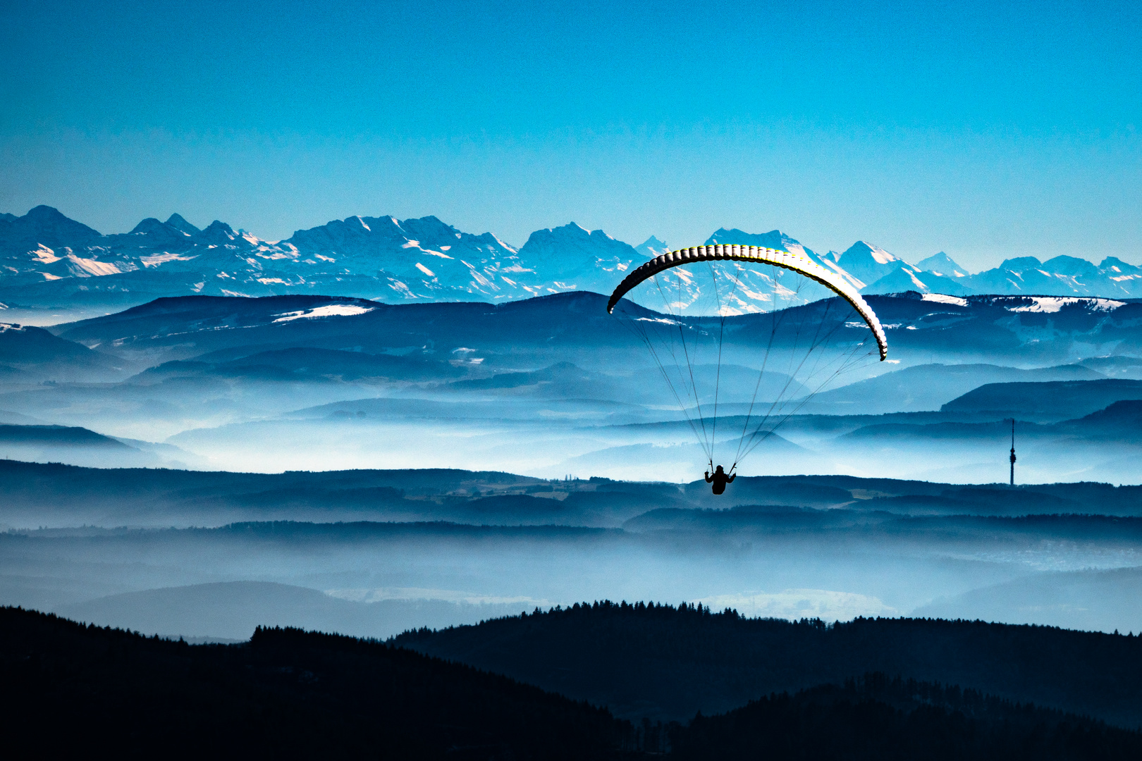 Paraglider vom Hochblauen Richtung Berner Oberland