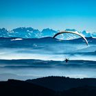 Paraglider vom Hochblauen Richtung Berner Oberland