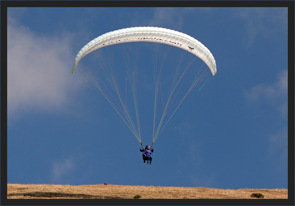 Paraglider1