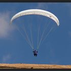 Paraglider1