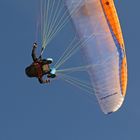 Paragliderparadis