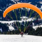 Paragliders