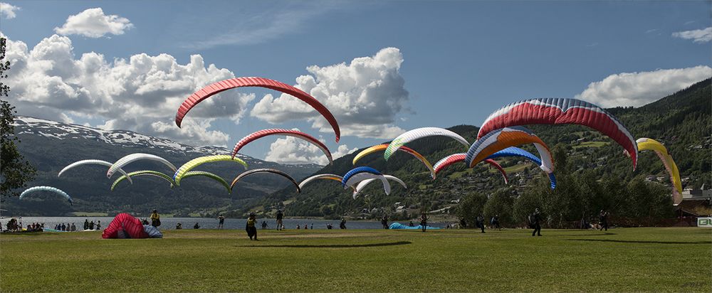 Paragliders