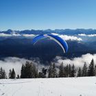 Paragliding :)
