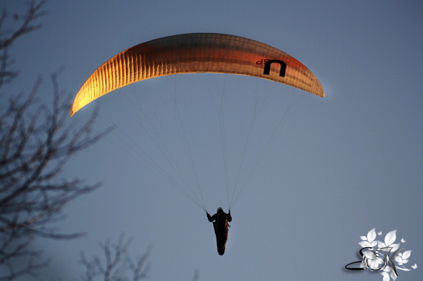 Paragliding