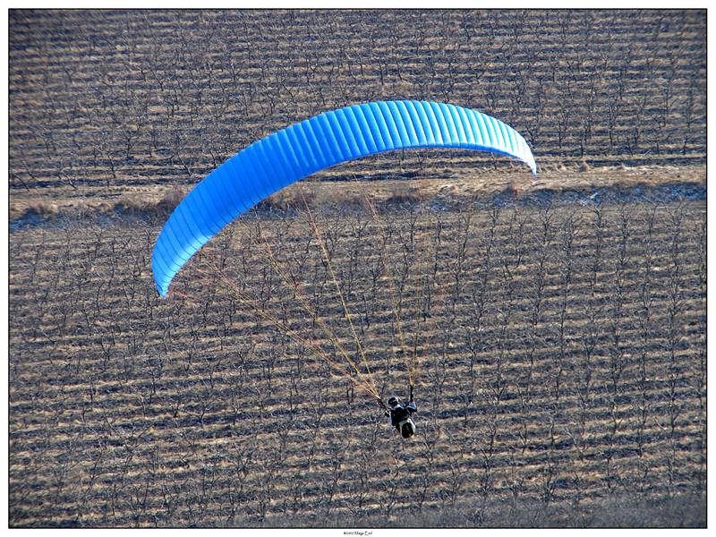 Paragliding