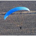 Paragliding