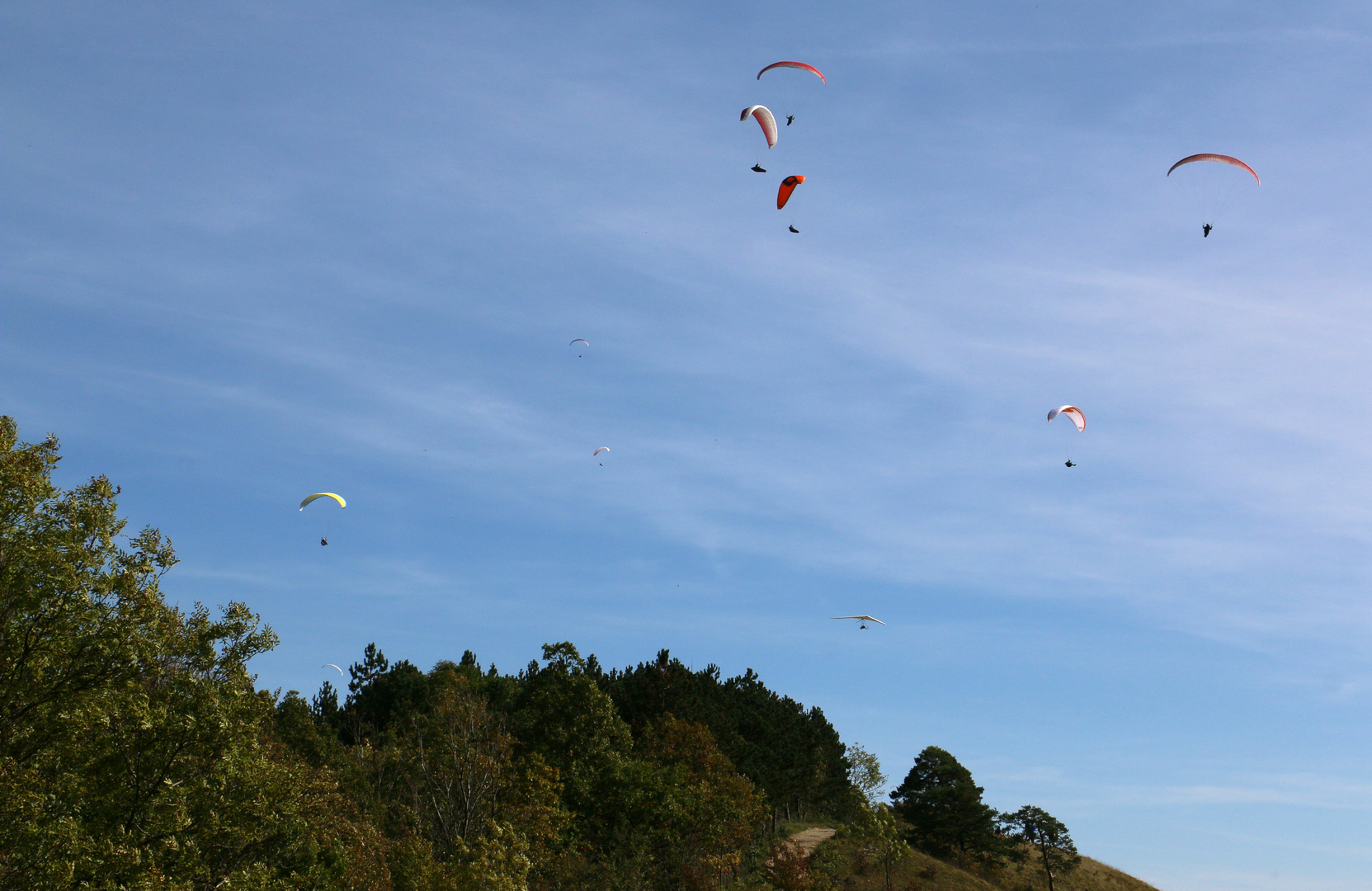 Paragliding am Jenzig 2