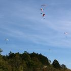 Paragliding am Jenzig 2