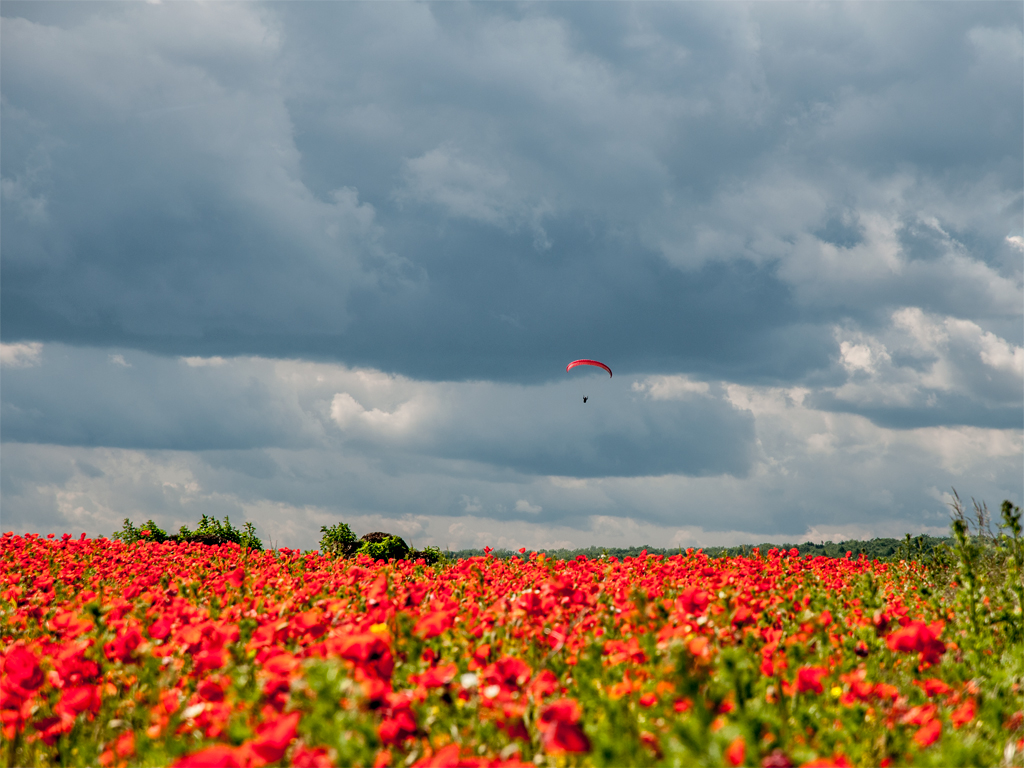 Paragliding