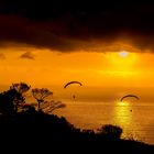 Paragliding from Signal Hill