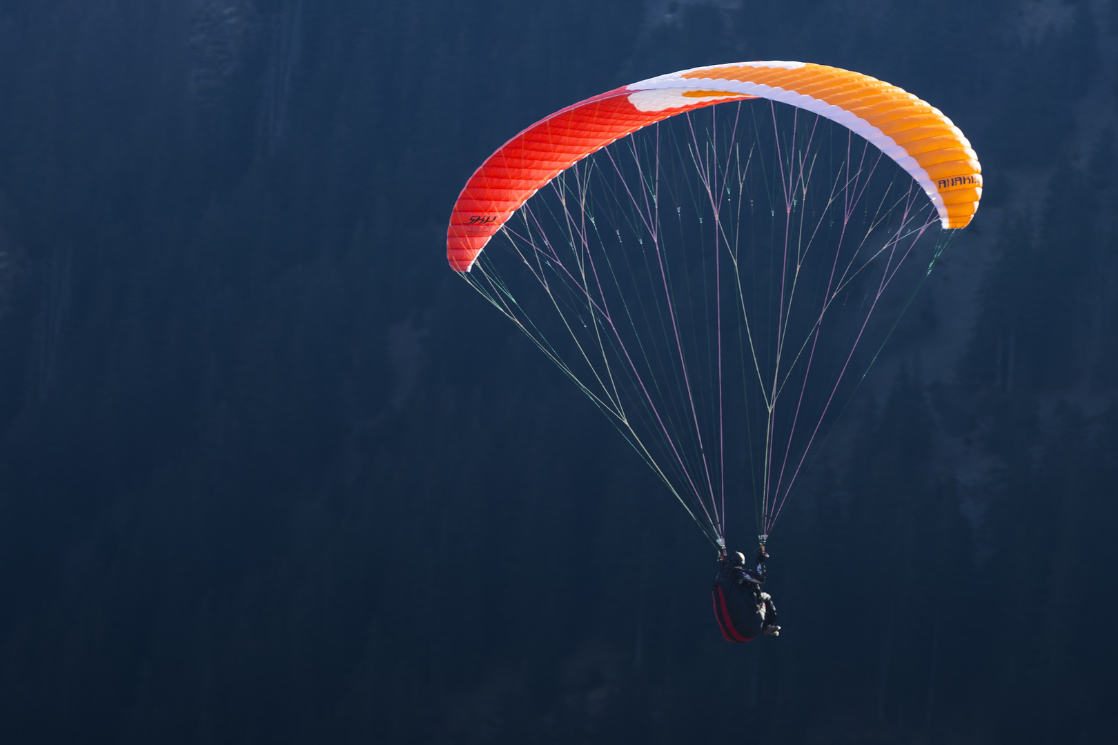 Paragliding im Wallis