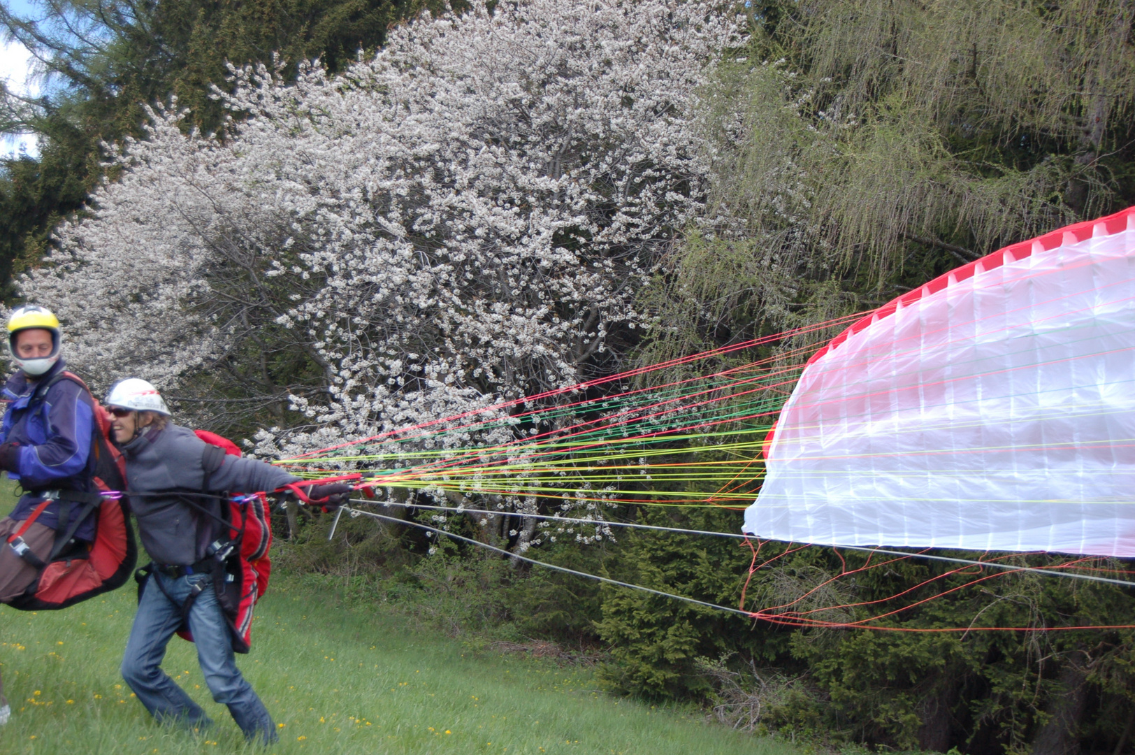 Paragliding in Spring