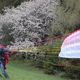 Paragliding in Spring