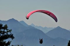 Paragliding vom Wank-Gipfel (Garmisch-Partenkirchen)